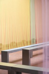 MSGM – Alberonero