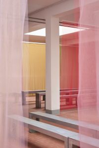 MSGM – Alberonero