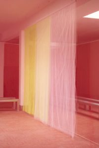 MSGM – Alberonero
