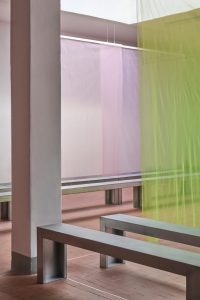 MSGM – Alberonero
