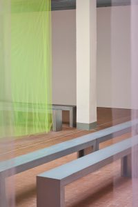 MSGM – Alberonero
