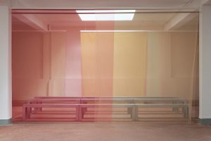 MSGM – Alberonero